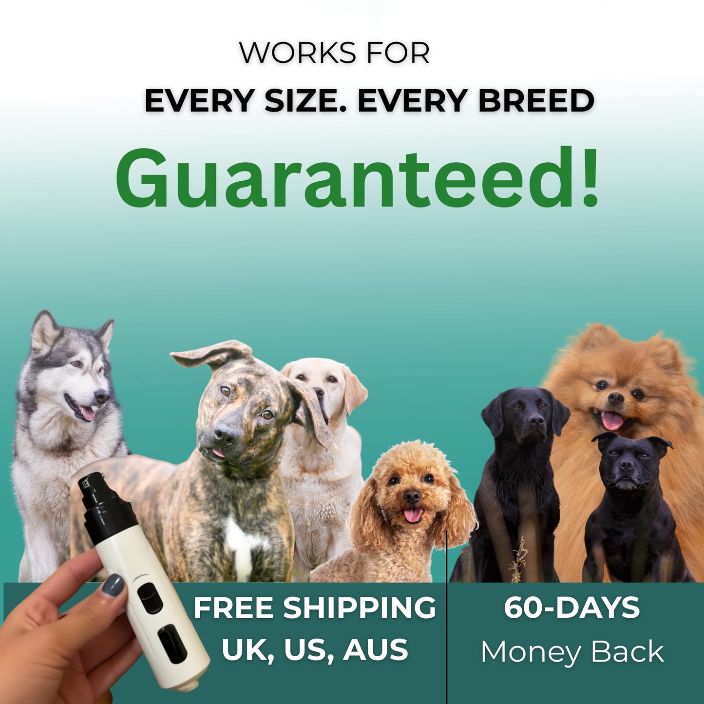 Pawlish Silent Trimmer