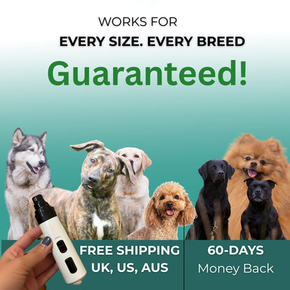 Pawlish Silent Trimmer